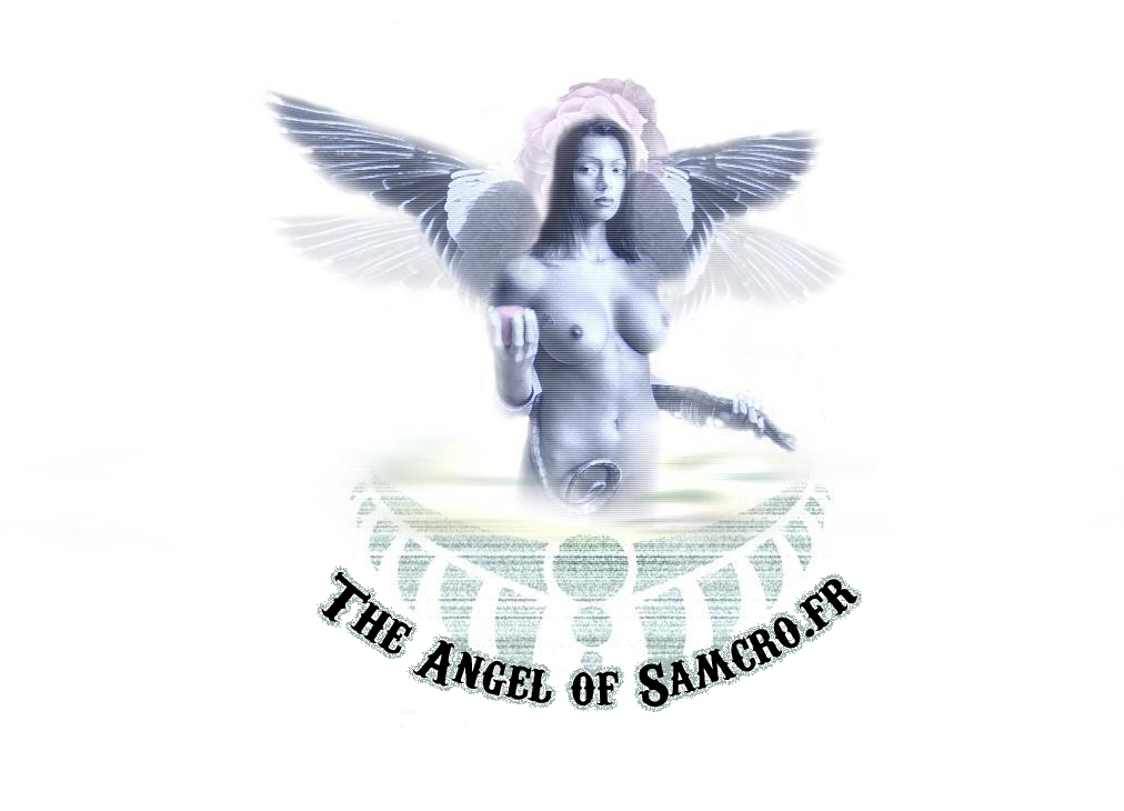 the angel of samcro.fr