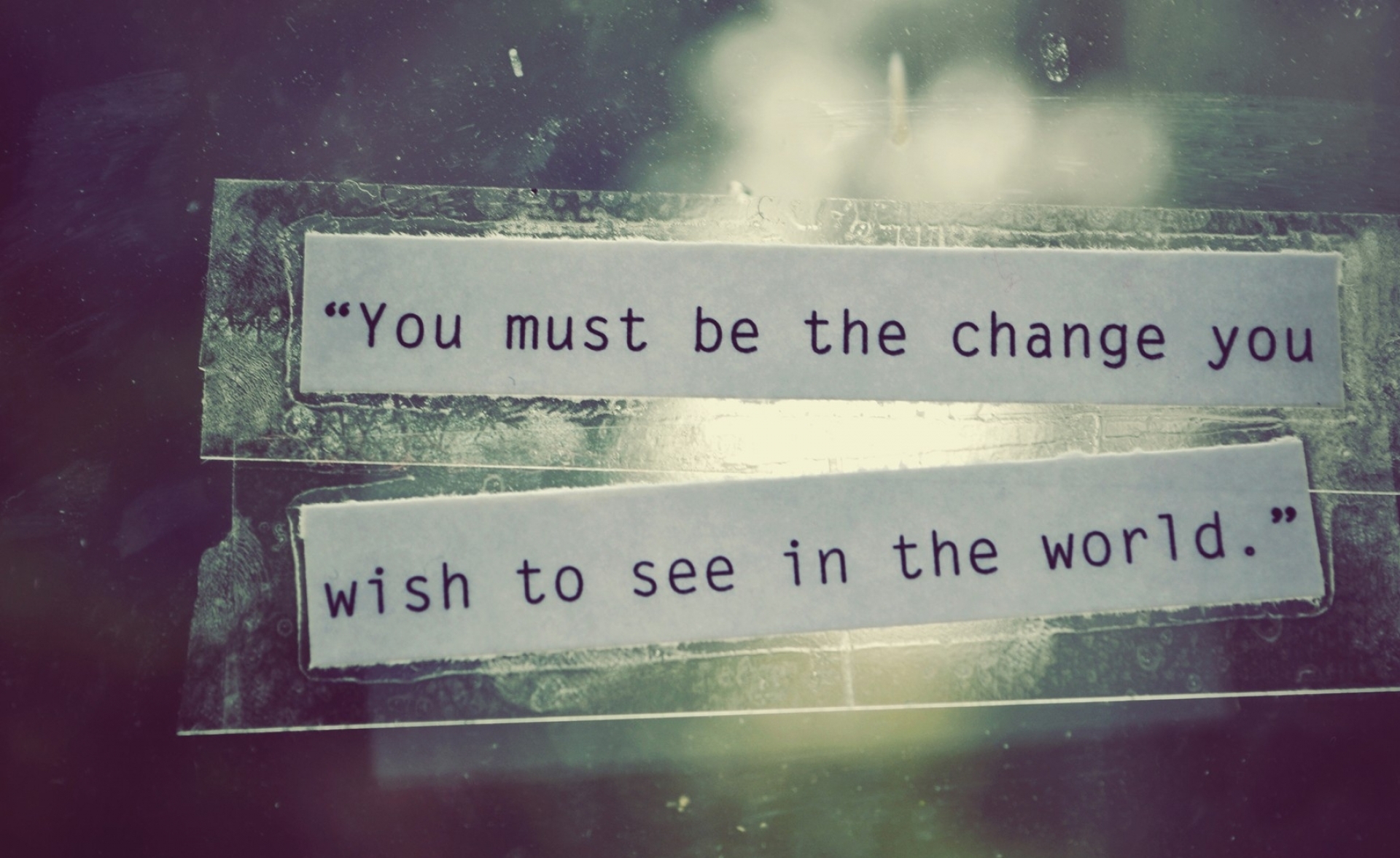you must be the change you wish to see in the world