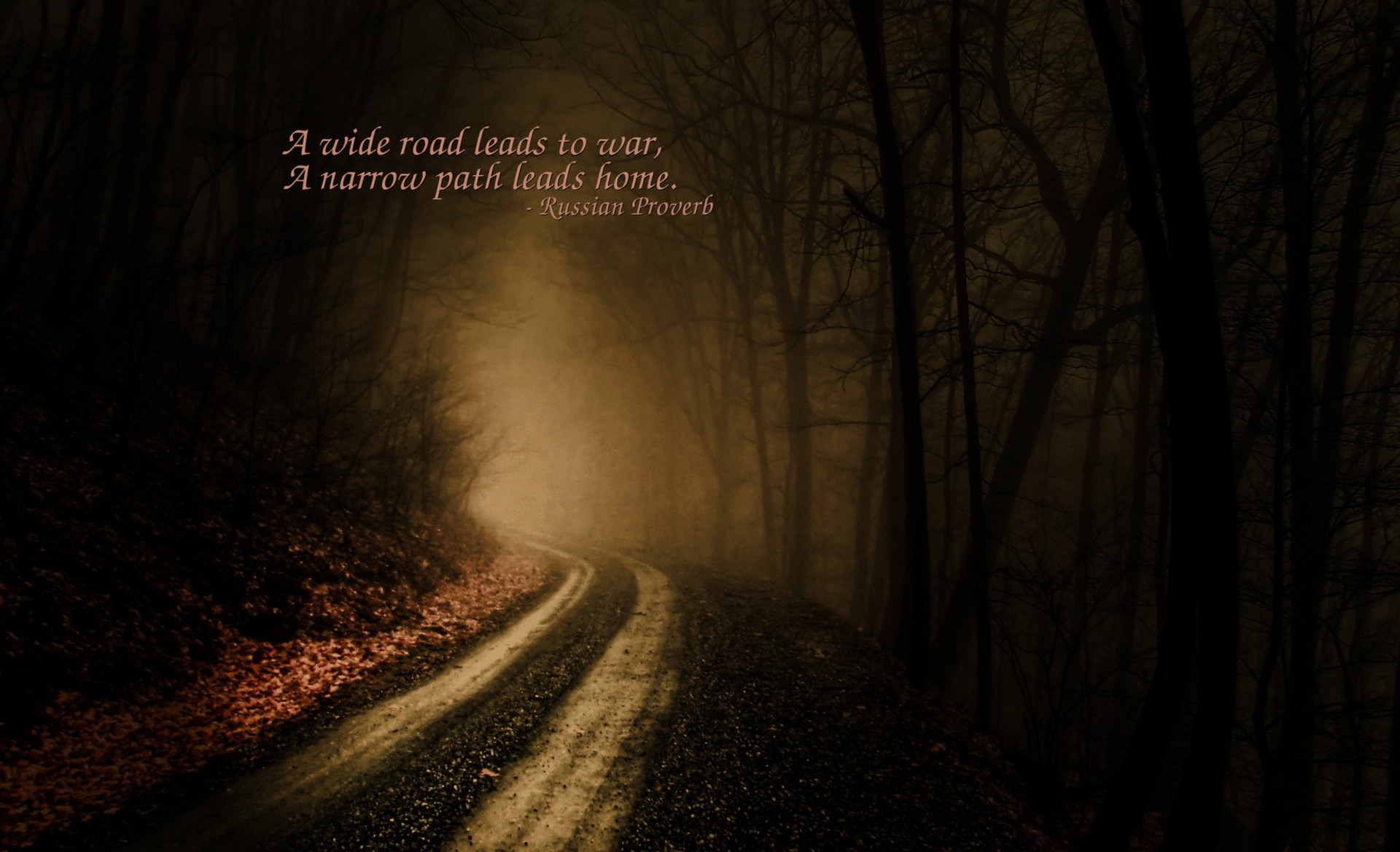 a wilde road leads to war a narrow path leads home