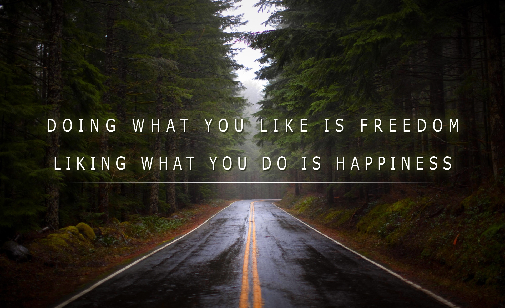 doing what you like is freedom liking what you do is happiness