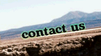 Contact admin Contact  Us